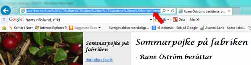 Google 2